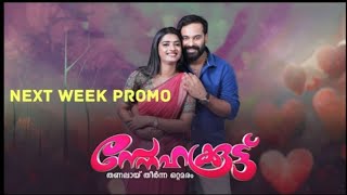 Snehakoodu-സ്നേഹക്കൂട്ട് I Next weeks Promo