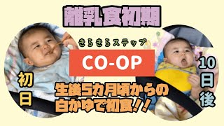 【離乳食初期】超便利！コープの離乳食で生後5ヶ月の赤ちゃんが初めて食べる10倍がゆの反応は？！そして10日後。