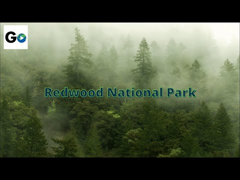 Redwood National Park Redwood National Park