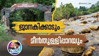 Janaki Forest Eco Tourism I Meenthulli Paara I മീന്‍ തുള്ളി പാറ അതി മനോഹരം Kozhikode Hidden Spot 4K