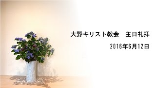 2016年6月12日　大野キリスト教会 礼拝メッセージ「すぐに来てください」(中澤信幸牧師)