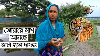 কষ্টের নাম সুন্দরবন |বাঘে মানুষে সুন্দরবন গল্প-৯ |Tiger attack |Sundarban bangladesh| Sundarban life