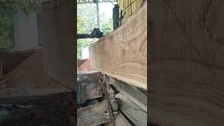 Nampak bagus ternyata Afkur #wood #sawmill #india #america #brazil #r