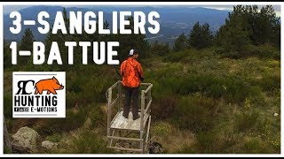 3 Sangliers, 2 Postes, 1 Battue - Magnifique Chasse dans les Pyrénées