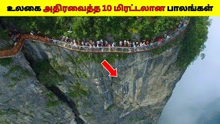 உலகை அதிரவைத்த 10 மிரட்டலான பாலங்கள் 2024/10 MOST IMPRESSIVE Bridges in the World 2024/Dee Amazing