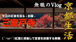 【無職のvlog】＜前編＞京都に移住した無職の1日／宇治の紅葉／三室戸寺／【No.15】