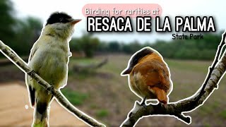 Birding for Rarities at Resaca De La Palma SP
