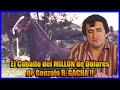 TUPAC AMARÚ : El Caballo de GONZALO Rodríguez GACHA