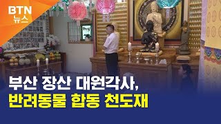 [BTN뉴스] 부산 장산 대원각사, 반려동물 합동 천도재