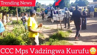 Ma Mp Ve CCC Vakadzingwa Kurufu Kunge Imbwa😳