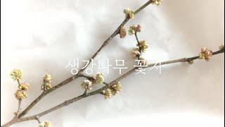 [수제덖음꽃차] 알싸한 봄의 향기, 생강나무 꽃차