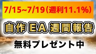 【FX】永田オリジナルEA週間報告【ビットコイン】【BTC】【ドル円】【USDJPY】【GOLD】【ユーロドル】【XAU USD】