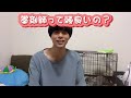 正直言って薬剤師は◯◯です…【薬剤師】【年収】