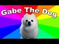 What is Gabe the dog? The History & Origin Of Bork Remixes And Gabe The Dog Memes