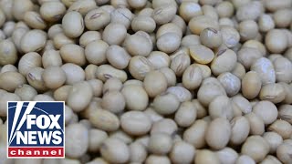 BEAN BENEFITS: Viral TikTok trend promises digestion, skin benefits