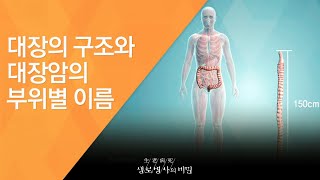 대장의 구조와 대장암의 부위별 이름 - (2016.3.9_574회 방송)_공사창립기획 한국인의 암지도 2편, 소화기암 서구형으로 변했다