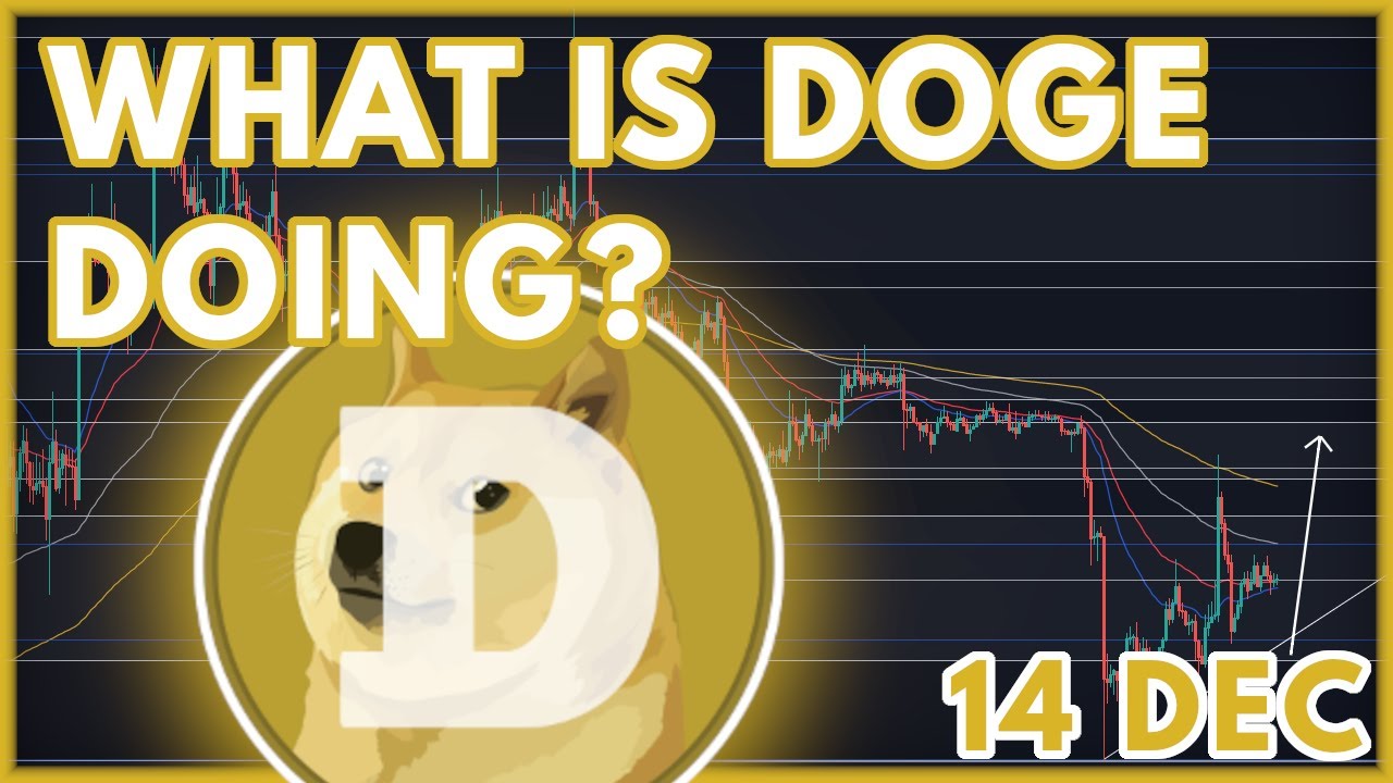 DOGE PRICE PREDICTION TODAY! | DOGECOIN (DOGE) PRICE PREDICTION & NEWS ...