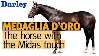 Medaglia d'Oro - the horse with the Midas touch