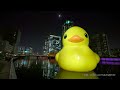 4k 中之島ウエスト冬ものがたり 2021 ラバーダック 夕景～夜景 ほたるまち night view of rubber duck at nakanoshima west osaka japan