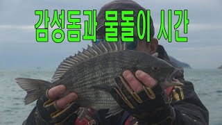 감성돔과 물돌이 시간