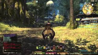 [PS４] FF１４ まったりふぁんたじ～のまき＃８