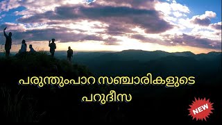 Parunthumpara/ പരുന്തുംപാറ/Places to visit in Idukki/Malayalam travel vlog/Tagore hills