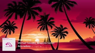 Michael Cassette's Anjunadeep Discography Mix