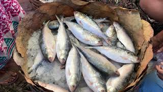 Nilgunj Hat | Nilgunj Hut Fish Market