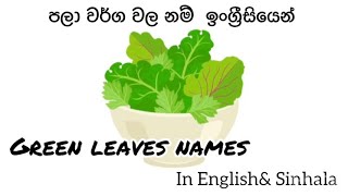 Green Leaves names in English \u0026 Sinhala - පලා වර්ග වල නම්  ඉංග්‍රීසියෙන් සහ සිංහලෙන්