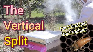 Splitting Your Bees Vertically
