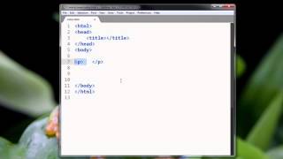 Ch2 lesson 2 - HTML tag basics: part 1
