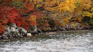 ウィーン 少年合唱団　The Vienna Boys´ Choir sings Deutsche Messe by Michael Haydn