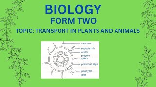 FORM 2: BIOLOGY                                  TOPIC 1: TRANSPORT IN PLANTS AND ANIMALS (LESSON 1)