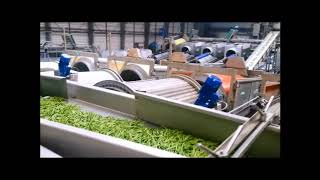 FEMIA green bean line long version