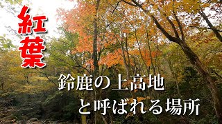 鈴鹿の上高地と呼ばれる場所【紅葉】