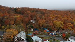 日本 - 長野 - 白樺湖 - 紅葉