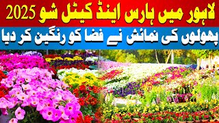 Lahore Horse and Cattle Show 2025 | Colorful Flower Display Takes Over the Event