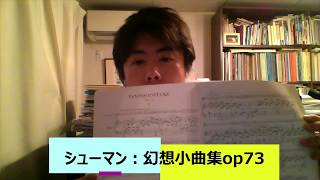 シューマン「幻想小曲集」op73分析