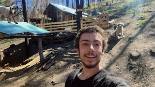 What I Did Living in the Woods Off-Grid for One Week Episode 77