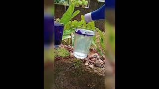 science small experiment ujala    |ശാസ്ത്ര ചെറിയ പരീക്ഷണം ഉജാല