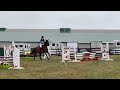 scarlet apple beg. novice stadium victoria hatt