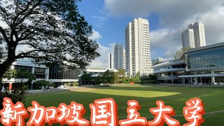 新加坡国立大学NUS,新加坡的国树（2022年第26集）