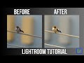 Mastering Bird Photography: Step-by-Step Lightroom Editing Tutorial