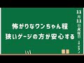 ペットホテルに預ける前に知って欲しい事！動物病院勤務のトリマーが教えます【関西弁をしゃべる犬】【おしゃべりペット】