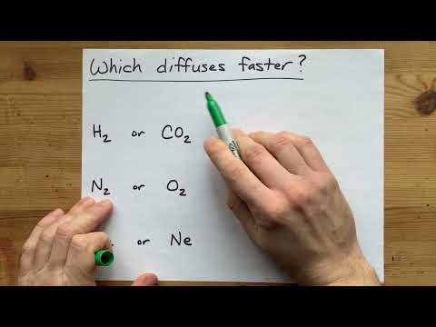 Does carbon dioxide diffuse faster than oxygen?