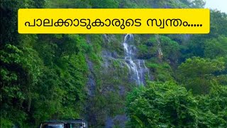 ഒരു അട്ടപ്പാടി യാത്ര പോയാലോ 🌳#travel #trip #attappadi #foodspot #comedy #nature #travelvlog