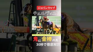 #競馬 #競馬予想 #ジャパンカップ#チェルヴィニア