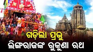 ଗଡ଼ିଲା ପ୍ରଭୁ ଲିଙ୍ଗରାଜଙ୍କ ରୁକୁଣା ରଥ | Odisha Reporter