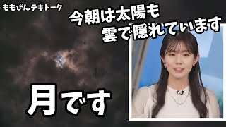 【青原桃香】ももぴん朝イチテキトーク！これは月ですか？太陽ですか？【ウェザーニュース切り抜き】