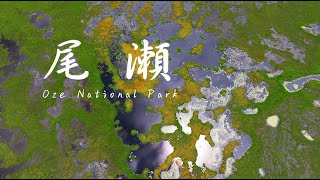 尾濑｜日本最美的湿地公园，新手徒步爱好者的天堂